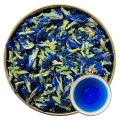 klitoria-kwiat-mystic.garden.png