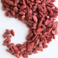 jagody-goji-mystic.garden.png