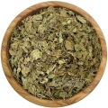 Gotu-kola-ziele-mystic.garden.png