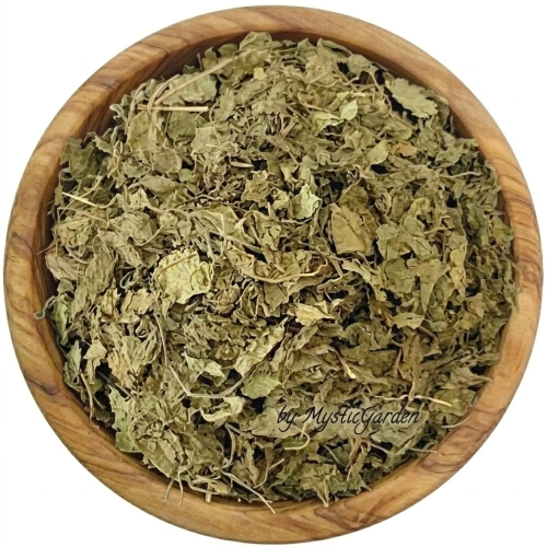 Gotu-kola-ziele-mystic.garden.png