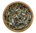 oliwka-liść-mystic.garden.png