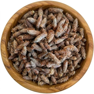 Sosna zwyczajna Pączek sosny cały susz Pinus sylvestris 500 g