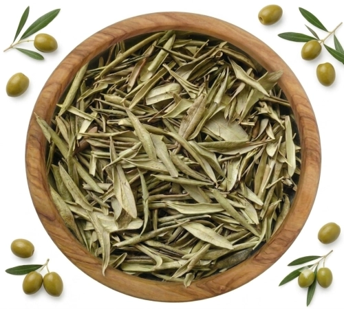 oliwka lisć.png