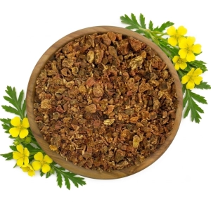 Pięciornik kurze ziele Kłącze pięciornika suszone 250 g