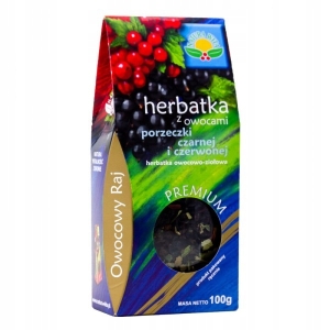 Herbata Owocowy Raj Owoce porzeczek Naura Wita 100 g