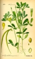 84172988420199bbf8cd240fb896