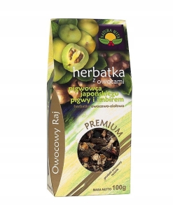 Herbatka owoc.-zioł. z pigwą i imbirem Natura Wita 100 g