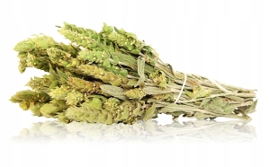 Gojnik Kwiat i Łodyga gojnika susz Sideritis Scardica 250 g