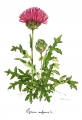 e812636c42cc971de2b42717ed28