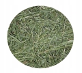 ce8a5e274efeb7726ed8107ab802