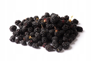 Jeżyna popielica Owoc jeżyny cały susz Rubus caesius 100 g