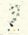 48f969434bc38be330a0b7b33685