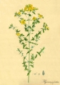 95ecd8004e10ac0458e0cd753190