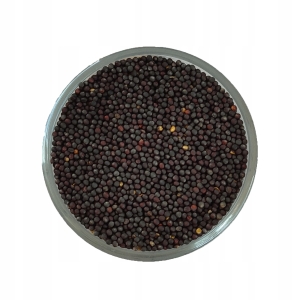 Rzepak Nasiono rzepaku suszone (Brassica napus) 1 kg