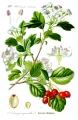 657c79bd4bc4903ddc70503e5752