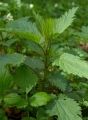 1bef3e2f476797a2b550a8bfd13e