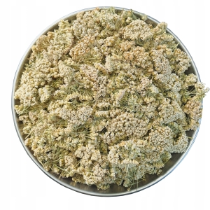 Krwawnik Kwiat krwawnika cały susz (Achillea millefolium) 100 g