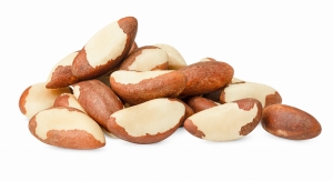 Orzechy brazylijskie Nasiona bertolecji przekąska 500 g 