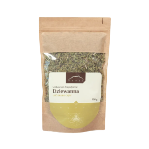 Dziewanna liść grubo cięty Verbascum thapsiforme Nanga 100 g