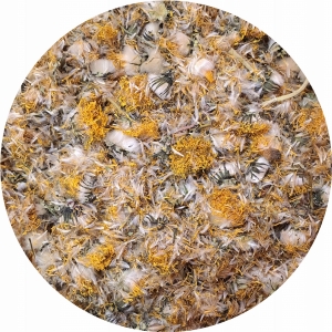 Mniszek lekarski Kwiat mniszka susz Taraxacum officinale 50 g