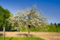 AdobeStock_152438506.jpeg