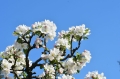 AdobeStock_503174165.jpeg