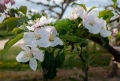AdobeStock_504230039.jpeg