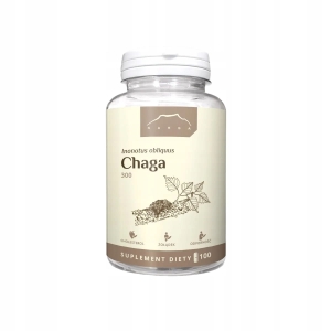Chaga błyskoporek pokorowy ekstrakt 100 kapsułek x 300mg Nanga