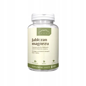 Jabłczan magnezu 100 kapsułek x 700 mg Nanga