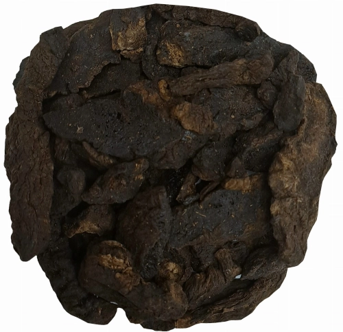 rehmania SHENG DI HUANG.jpg