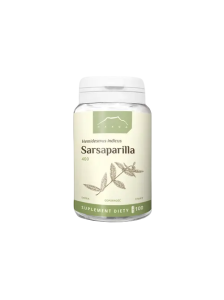 Sarsaparilla indyjska 100 kapsułek x 400 mg Nanga