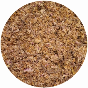 Kasztan Kasztanowiec kwiat  Aesculus hippocastanum 500 g