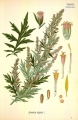 3a01b8ab463faf33bce449281de1