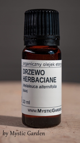 drzew herbaciane.jpg