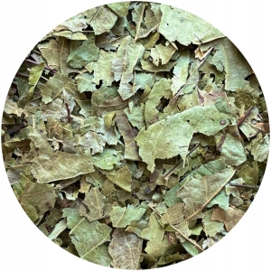 Orzech włoski Liść GRUBO cięty (Juglans regia L.) 500 g