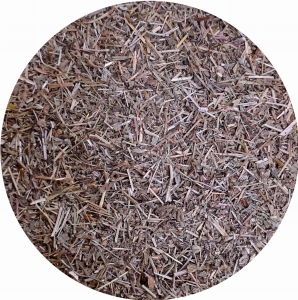 Przetacznik leśny ziele cięte (Veronica officinalis) 50 g