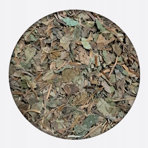 Pstrolistka sercowata Houttuynia cordata ziele grubo cięte 50 g