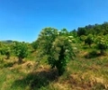 ae78a0884e19aad5393b74cb8c8c.webp