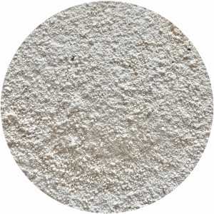 Poria Kokosowa FU LING MIELONA Poria Cocos 50 g
