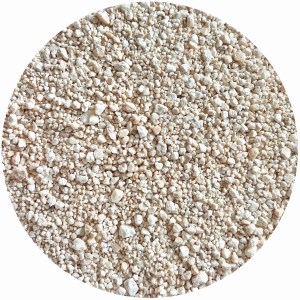 Poria Kokosowa FU LING CIĘTA Poria Cocos 100g
