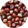 Kasztanowiec owoc kasztanowca kasztany niejadalne susz Mystic.Garden 1 kg