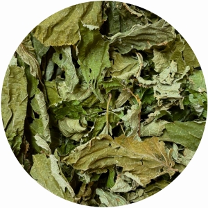 Leszczyna pospolita liść cały Corylus avellana 250 g   