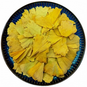 Miłorząb japoński Ginkgo biloba liść suszony 50 g