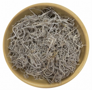Brodaczka CIĘTA zwyczajna Plecha Usnea filipendula 100 g  