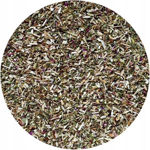 Oregano Lebiodka pospolita MysticGarden.jpg
