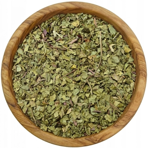 babka-szerokolistna-mystic.garden.png