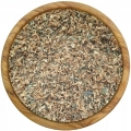 akacja-robinia-mystic.garden.png