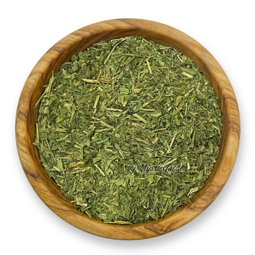 babka-lancetowata-liść-cięty-mystic.garden.png