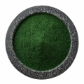 chlorella-proszek-mystic.garden.png