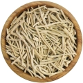 shatavari-Mystic.Garden (2).png